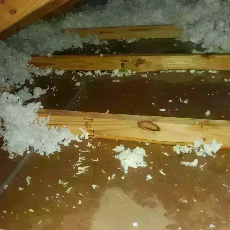 Attic Water Damage in Spokane, WA