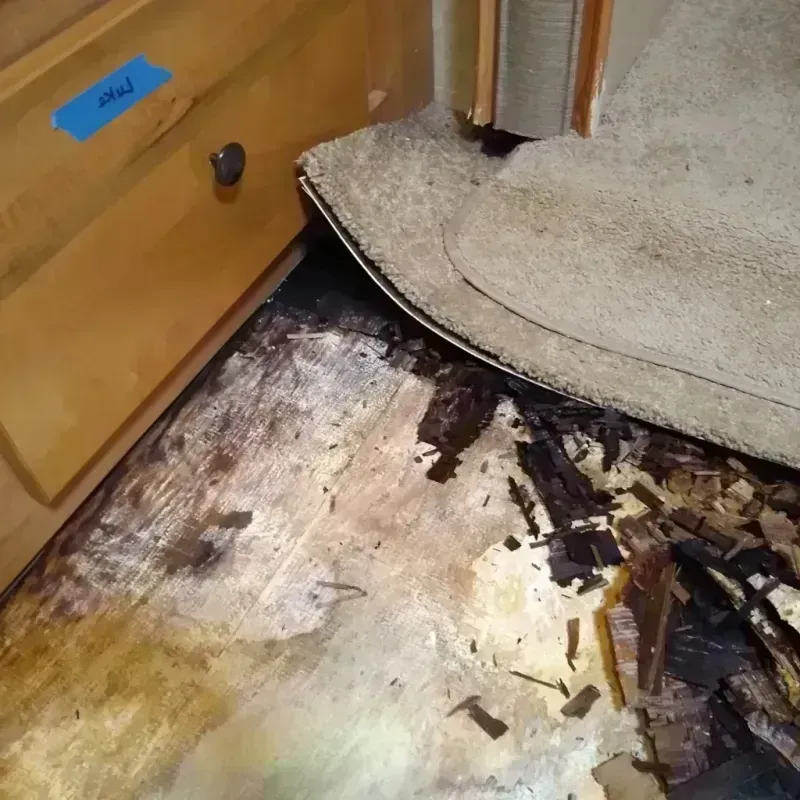 Best Wood Floor Water Damage Service in Spokane, WA